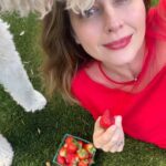 Amy Acker Instagram - I can’t believe it’s already been a week! Here is some of the yummy food we made with the @flamingo_estate farm box. Plus some scrumptious @rancho_gordo black beans. And a couple of Penny and I sharing strawberries 🍓