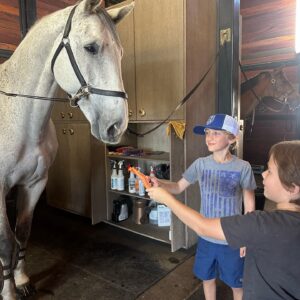 Amy Davidson Instagram - A day at the barn equals a great day! Thank you, Kales. I think it’s safe to say the kids had fun! 😄🐴🥕🐷🐮🦆🐓And Tildy…👶🏼 you are soooo delicious, baby girl!💕💕