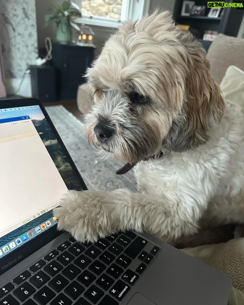 Amy Huberman Instagram - My script supervisor is constantly on my back. And she might have just read the plot twist *the puppy gets it