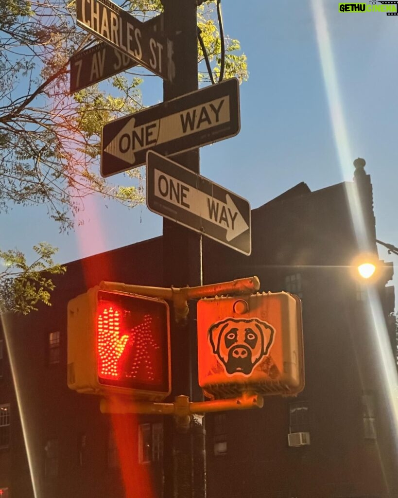 Amy Huberman Instagram - Bits and BODs. Dude with some fierce smoothie moves. Okay some recs; Balthazar, Jacks Wife Freda, 4 Charles, Pastis. Brass Monkey. Hi (👋) Line. Chelsea Market in Meatpackers. West Village strollin. The Whitney. Comedy Cellar lolling @ @kumailn & @jarcuri. Shouting “LOOK at the cherry blossom flurry!!” possibly louder than necessary. Monchichi spotting; time machine directly back to 1987. Once a gardener always a gardener. 🌳 👌 Loving the napkin placing on Bod’s leg making it look like he’s absolutely wearing training shorts and knee high socks out to dinner #casualmonday. Dins may not have agreed with me 💨.