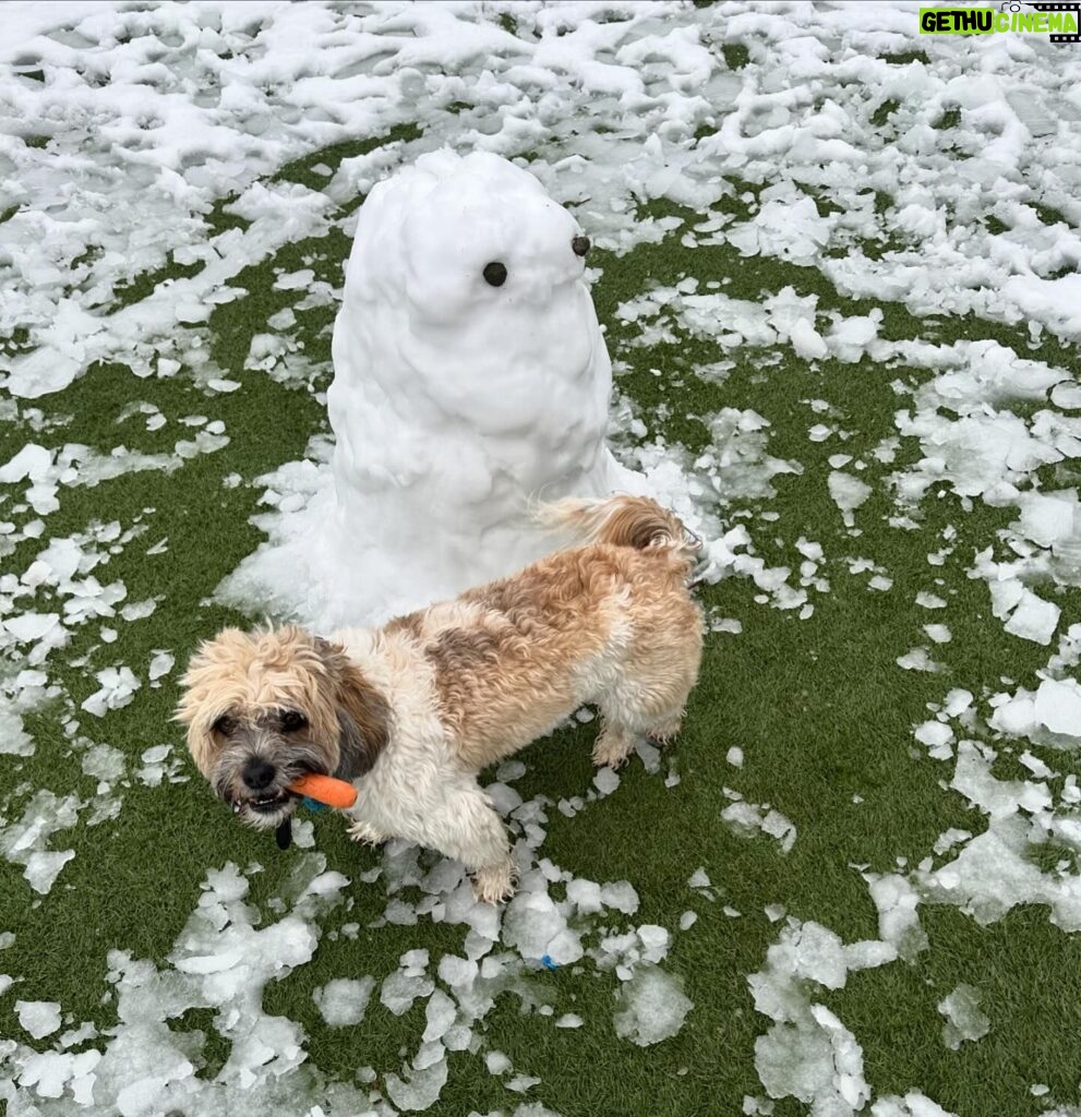 Amy Huberman Instagram - Anyone know a good rhinoplasty surgeon? ☃️👃🏻🥕 Phoebe 1 Snowman 0