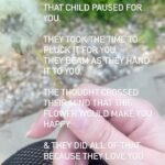 Amy King Instagram - Daxxy brings all kinds of weeds and dandelions, rocks, bugs, worms and mud to me! He’s especially proud when he finds roly polys! ☺️☺️ What the craziest thing your child has ever brought you because they love you SO much??