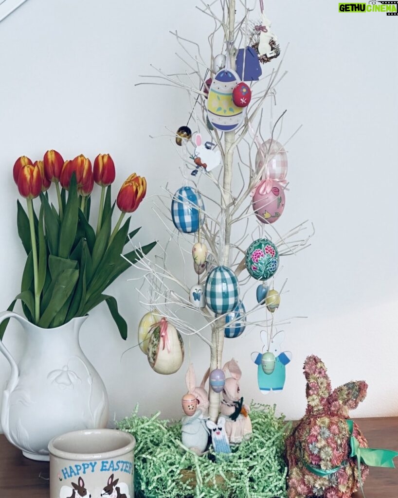 Amy Klobuchar Instagram - The egg tree is back! My mom’s tradition carried on through the ages. Happy Easter!