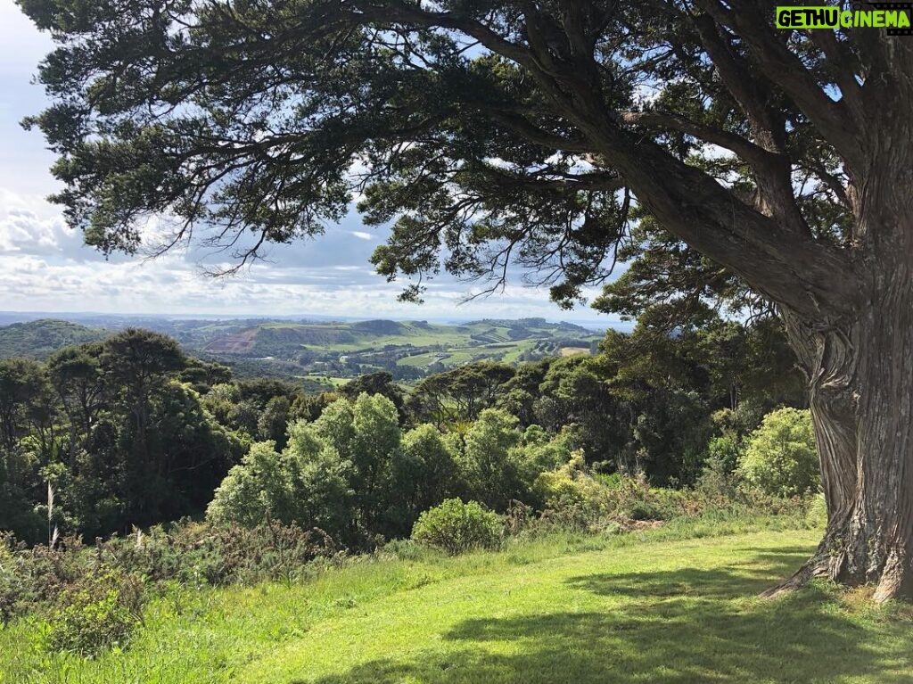 Amy Nelson Instagram - 📍Waiheke Island, New Zealand 🇳🇿