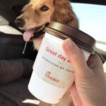 Amy Nelson Instagram – every coffee across america