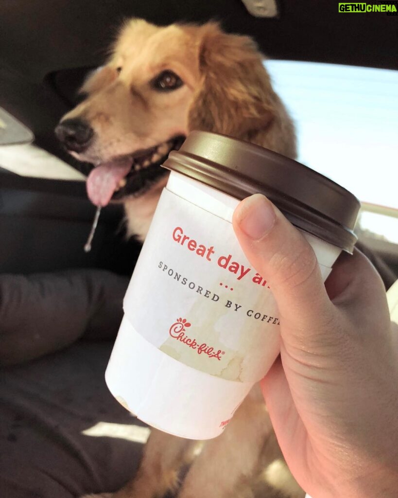 Amy Nelson Instagram - every coffee across america