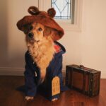 Amy Nelson Instagram - Please look after this bear, thank you.