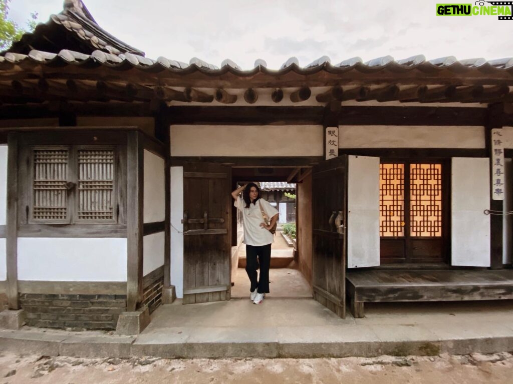 Amy Nelson Instagram - korea photo dump! (view of n korea from the dmz, everland, minsok folk village)