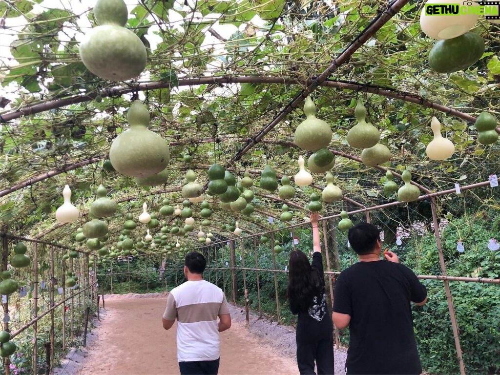 Amy Nelson Instagram - korea photo dump! (view of n korea from the dmz, everland, minsok folk village)