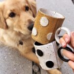 Amy Nelson Instagram - quality assurance