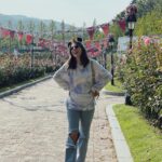 Amy Nelson Instagram - 🌸🇰🇷🎃