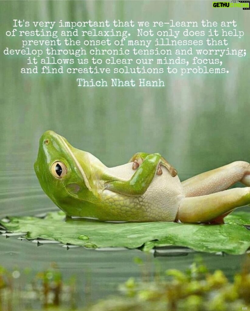 Amy Smart Instagram - 💚Thich Nhat Hanh. @thichnhathanhquotecollective #mindfulness #relaxing