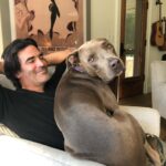 Amy Smart Instagram - Lap Dog Friday!!! Super snuggles with this big Fella🐾 @carterooster #adoptamutt