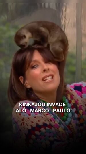 Ana Marques Instagram - Há uma semana, a apresentadora Ana Marques foi surpreendida por este curioso Kinkajou e quisemos recordar o momento 🤩

Hoje, no Alô Marco Paulo, viajamos pelas nossas memórias. Acompanhe tudo na SIC ou em sic.pt

#sic #alomarcopaulo #kinkajou #anamarques #sicinternacional