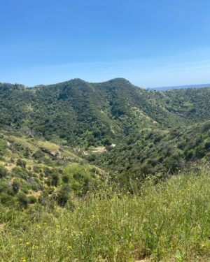 Ana Mulvoy Ten Instagram - 📸 ⛰️ 📚 🌝 ☀️ 🌴 🌸 🥾😎 🎞️