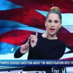 Ana Kasparian Instagram - Politicians in a nutshell. #pompeo #tyt