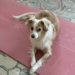 Ana Kasparian Instagram - Long legged mac daddy.
