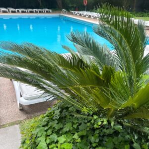 Ana Rita Clara Instagram - 𝙒𝙚𝙡𝙘𝙤𝙢𝙚 𝙩𝙤 𝙩𝙝𝙚 “𝙋𝙤𝙤𝙡 𝘽𝙧𝙪𝙣𝙘𝙝”💦🧁
Que momentos tão bons vividos neste “Pool Brunch” no @lisbonmarriott💫
E agora que o bom tempo se vai começar a sentir, sabe mesmo bem este brunch com a piscina de fundo, sabores incríveis à mesa, para toda a família, um dj sempre com muito boa música (aos sábados e domingos das 12-20h), bom ambiente e o serviço tão simpático e com tanto carinho.

Foi fantástico, muitos parabéns @lisbonmarriott e @anacaetanoi por este delicioso brunch. Levei o Caetano, amigas e a celebração de um aniversário especial da minha querida @madalenamoraissoares. Trouxemos recordações boas, ficamos todos fãs e vamos voltar.☺️😉

E da próxima juntamos os mergulhos ao brunch. 
👉Quanto a vocês descubram mais nos meus stories e reservem, vão adorar a experiência e todos os momentos. Bom fim de semana.

•
•
#ARC #PoolBrunch #marriot #hotel #swimmingpool