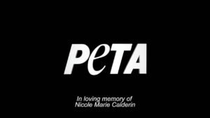 Anabelle Acosta Instagram - Been trying to post this campaign since yesterday. Couldn’t find the words. It was hard shooting this campaign & these videos without breaking down. I LOVE u Nicole. I will miss u the rest of my life. Thank u for inspiring me to be a better human. For continuing to educate me. U dedicated ur life to animals in every way. I hope this makes u proud. Thank u @peta & @officialpetalatino for allowing me to honor the memory of my cousin & at the same time raise my voice for these gentle defenseless creatures, the planet & talk about all the amazing benefits of leading a #veganlife ❤️🌱🐇
