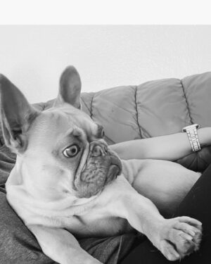 Anabelle Acosta Instagram - Dedicated to the ones who changed my life. Nala & Mila, my besties. At my lowest, at my worst, they taught me the meaning of unconditional love. Best wishes on #NationalPetDay
