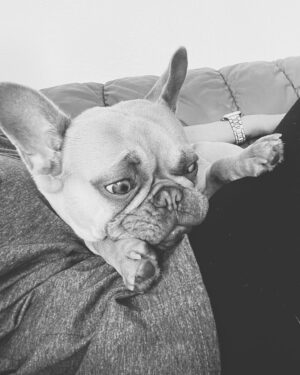 Anabelle Acosta Instagram - Dedicated to the ones who changed my life. Nala & Mila, my besties. At my lowest, at my worst, they taught me the meaning of unconditional love. Best wishes on #NationalPetDay