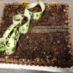 Ananya Dash Instagram - 500 Episode Celebration 🎊🎉