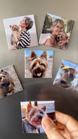 Andrea Tessa Instagram - Hay regalos que llegan al alma, este es uno de ellos. Gracias de corazón a @coolprint.cl  por estos imanes de mi amado Patán. ♥️🌈🐶 @patantessa