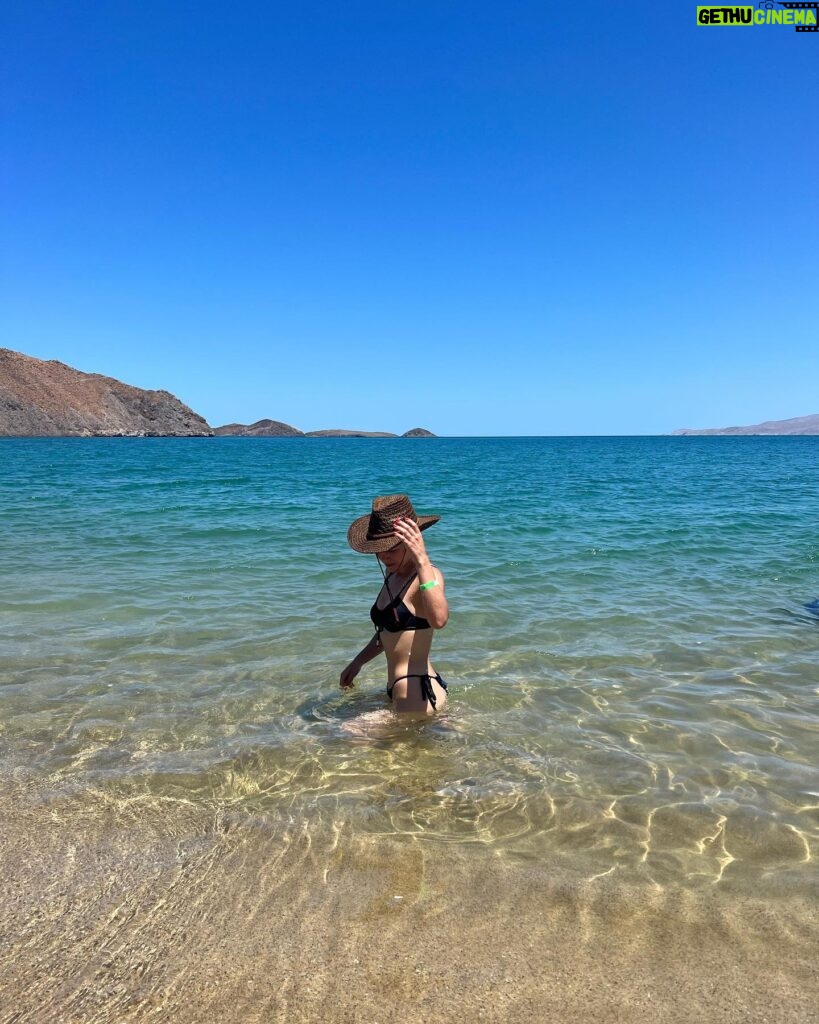 Andrea Londo Instagram - La Baja y su magia 🐚