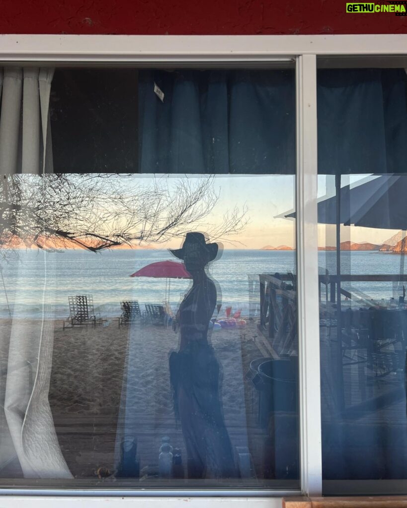 Andrea Londo Instagram - La Baja y su magia 🐚