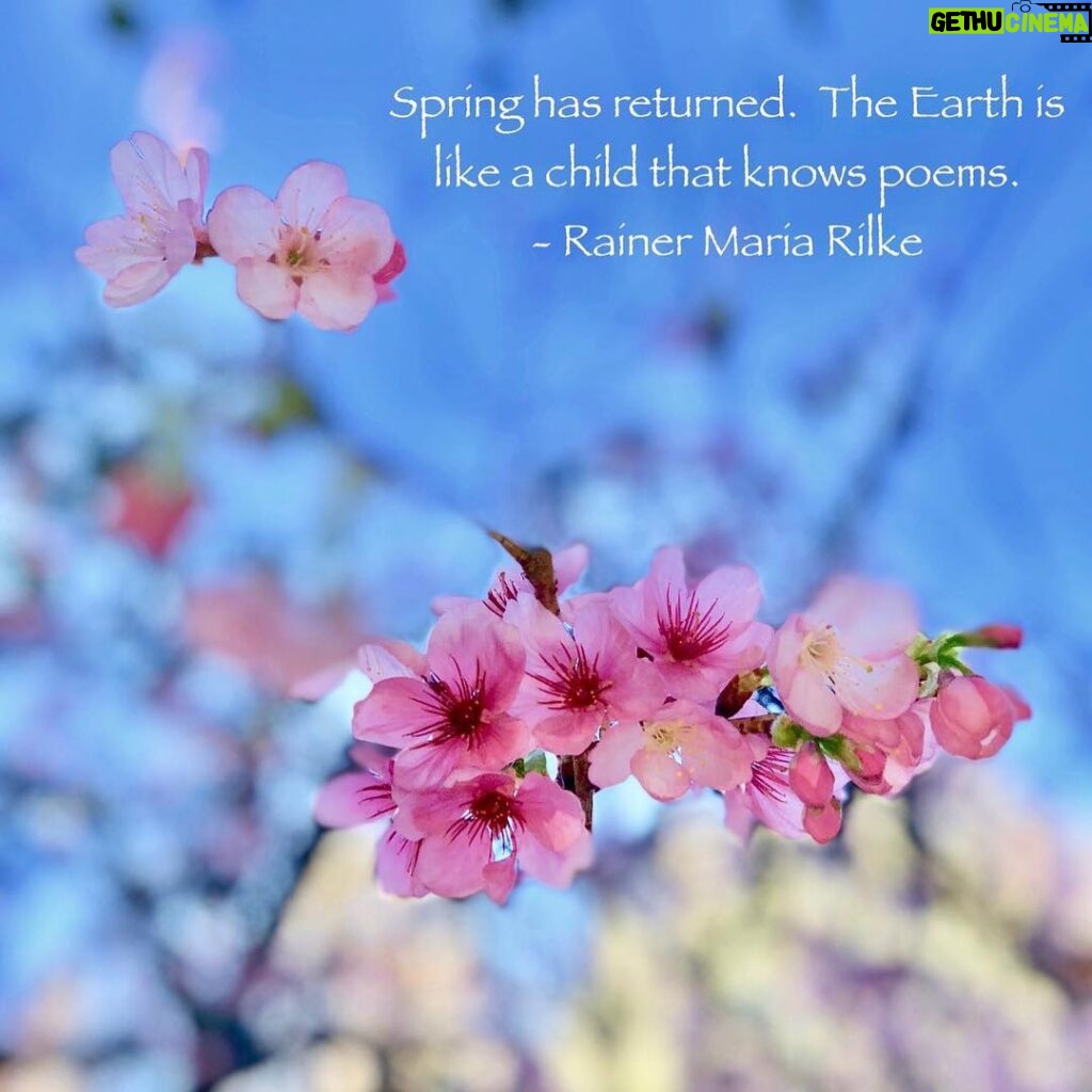 Andrea Parker Instagram - Happy #Spring 🐇🌸☔️🍄🐣💕