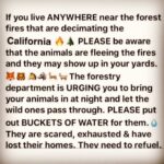 Andrea Parker Instagram – 🙏🏼 #SocalFires #CaliforniaWildfires #LAFires #Ventura #SantaPaula #SantaClarita #Animals 💔