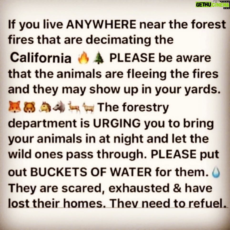 Andrea Parker Instagram - 🙏🏼 #SocalFires #CaliforniaWildfires #LAFires #Ventura #SantaPaula #SantaClarita #Animals 💔
