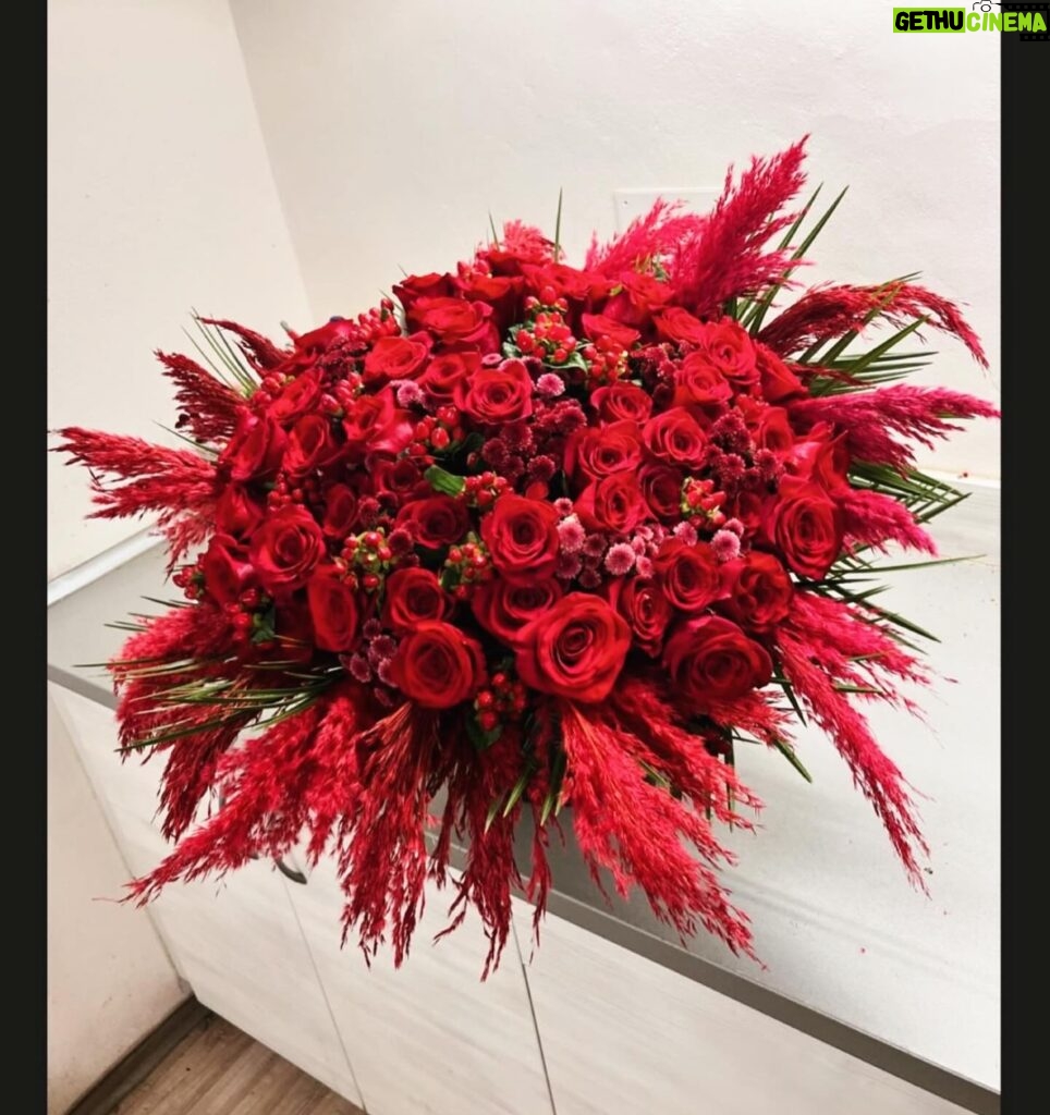 Andrea Verešová Instagram - ❤️Exkluzívna, tématicky ladená kytica, navrhnutá na prehliadku Janky Pištejovej. No nie je nádherná? 🥰 #red #redvelvet #flowers #kvety #červena #kytica #show