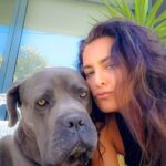 Andreia Dinis Instagram - 6 meses. Meio ano sem o nosso patudo. Tantas saudades 😢 #thor #mypuppie #missyou #canecorso