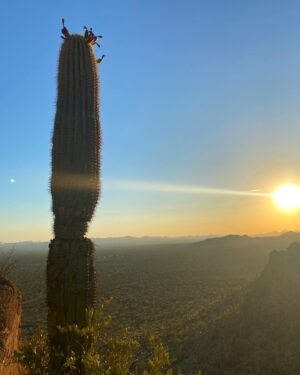 Angélica Celaya Instagram - Por otra vuela al sol 🌞 

To the little girl who walked barefoot on the hot earth, looking towards the sky whispering her dreams. 
I’m proud of you
#HappyBirthdayToMe ✨