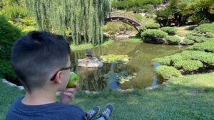 Angélica Celaya Instagram - Descubierto el mundo en tu naturaleza 💛 @angel_alessandro_garcia 
Pidiendo deseos, escuchando el cielo y correteando a varias cachoras 🦎