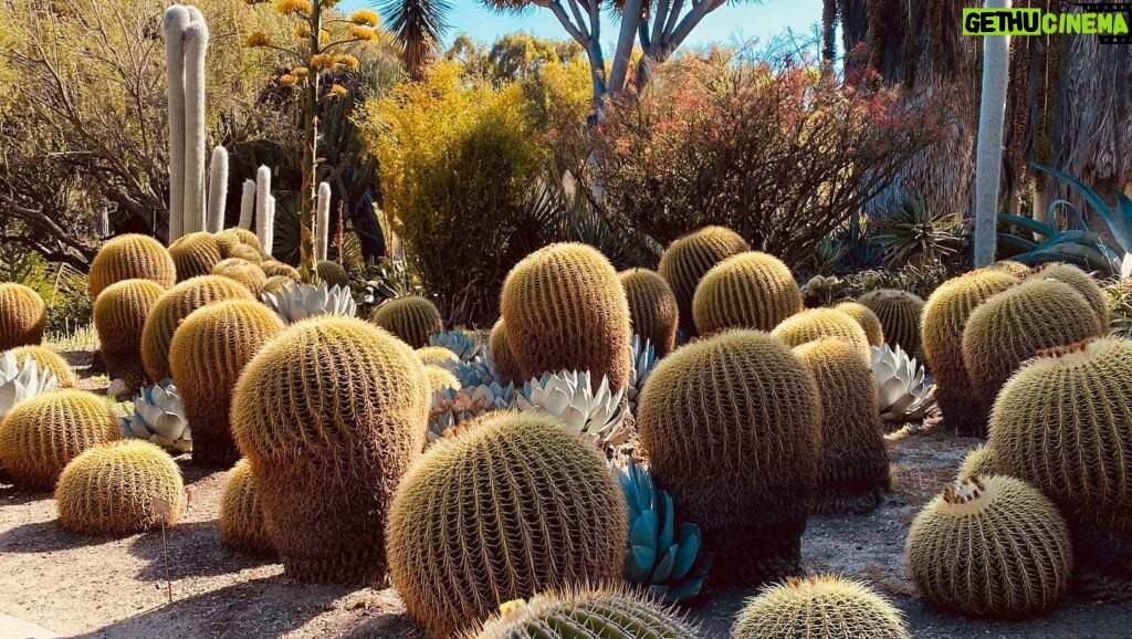 Angélica Celaya Instagram - Descubierto el mundo en tu naturaleza 💛 @angel_alessandro_garcia Pidiendo deseos, escuchando el cielo y correteando a varias cachoras 🦎