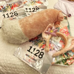 Angela Tong Instagram - We are ready for the Marathon tomorrow! 闊別三年，香港迪士尼樂園 10K Weekend 2023
將於2023年3月18至19日載譽歸來！
#10KWeekend2023 #HKDisneyland #香港迪士尼樂園 #DisneyMomentsHK #SkechersHK