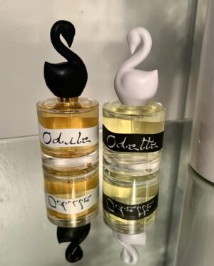 Angela Trimbur Instagram - Danced at launch of and for 2 perfumes and now can decide everyday if I’m the black swan or the white swan as @gumamina.world has a stunning new double scent drop 🦢🦢 @marissazappas @universalflowering xx