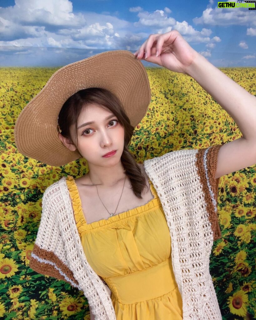 Angela Mei Instagram - 🌻 人生で1回はひまわり畑行ってみたいよなあ ベタな感じで白いワンピースと麦わら帽で︎︎☺︎