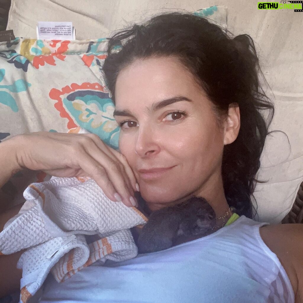 Angie Harmon Instagram - Best “Sorry, I can’t workout today” excuse EVER. #blessed #grateful #squirrel #thomas #squirrellove #squirrelmomproblems #mybabyboy #love ❤️🐿️🍼