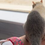 Angie Harmon Instagram - Never, never be afraid to do what’s right, especially if the well-being of a person or animal is at stake. -MLK There is nothing I want more than to keep this little guy at home with me… but there is nothing he wants more than to be what he is. Thank you to all of my new squirrel family for your words of wisdom during this fantastic journey! 🥰🙏🏼😢❤️🐿️ #blessed #grateful #squirrelmom