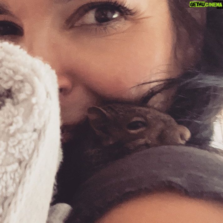 Angie Harmon Instagram - Squirrel Snuggles… Happy FRIYAY!!! 🥰🥰 #blessed #grateful #squirrel #mom #love ❤️🐿️💝🌰❤️