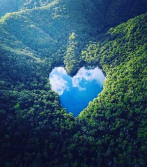 Aniela Gumbs Instagram - Happy Earth Day #earthday #bekindtoourplanet #tgit @greysabc #greysanatomy is on tonight #like #comment #follow #love