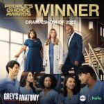 Aniela Gumbs Instagram - Just saw this yay #GreysAnatomy for the win #bestshowever #zola @shondaland #anielagumbs love to act #peopleschoiceaward
