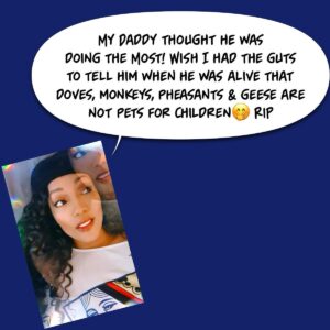 Anika C. McFall Instagram - RANDOM THOUGHTS OF A GEMINI 
#Real #Thoughts in #Reel Time 
FAMILY : 💬

DISCLAIMER: Just Walking around Undiagnosed Blending into Society 💅🏼

#Gemini #fun #reels #laugh #freespirit #anikamcfall #multi #award #winning 
#actress #producer #writer 
#funnygirl #muse #blessed #givegoodface #live #free 
#blowkissesandthrowglitter 
#finerwomanhood #catchonocatchup