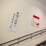 Anju Inami Instagram - みんな、おこん。 ． なんだかバタバタの一週間を終え、 今週末には、 #きらみらgig 名古屋公演💋 ． 最高のスタートで迎えた 福岡公演でめっちゃパワーもらったからね！ この想いを胸に楽しむよっ‪🫶🏻 ． ここに想い出を添えて🫧 ． 改めまして！ ありがとう、ふくおか。またねっ #inamianju #1stlive #きらみらgig #福岡