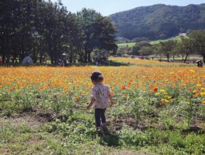 Anna Ishibashi Instagram - #やくらいガーデン #宮城県 #flower