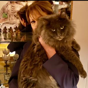 Anna Mannheimer Instagram - Jag gör 2021
as long as I do it with you❤️
#svante-kåre #mainecoonkillen