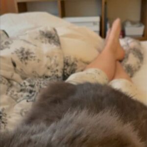 Anna Mannheimer Instagram - När Svante-Kåre lagt in sin lördagsprilla, hoppat upp i sängen och tittar på en med en skärva av förakt.
Det är då man ligger kvar.
Hur kissenödig man än är.
#svantekåresbitch
#mainecoonkillen